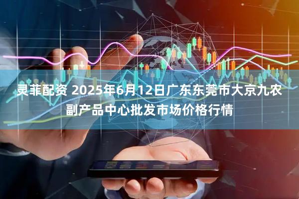 灵菲配资 2025年6月12日广东东莞市大京九农副产品中心批发市场价格行情