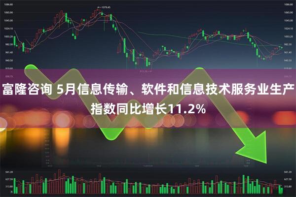 富隆咨询 5月信息传输、软件和信息技术服务业生产指数同比增长11.2%