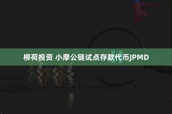 柳荷投资 小摩公链试点存款代币JPMD