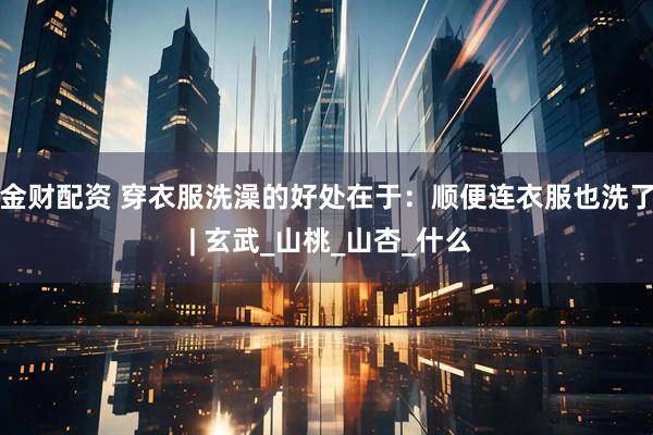 金财配资 穿衣服洗澡的好处在于：顺便连衣服也洗了 | 玄武_山桃_山杏_什么